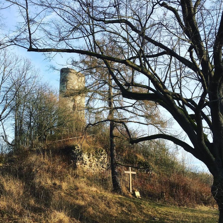 Ferienwohnungen Lausbuben & Zicken - Im Grunen Herzen Deutschlands Herleshausen Екстер'єр фото