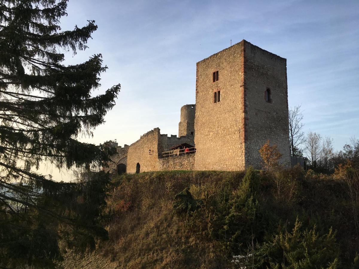 Ferienwohnungen Lausbuben & Zicken - Im Grunen Herzen Deutschlands Herleshausen Екстер'єр фото